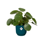 vibes fold rund 16cm tiefes blau